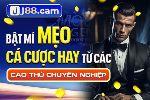 Bật mí mẹo cá cược hay từ các cao thủ chuyên nghiệp