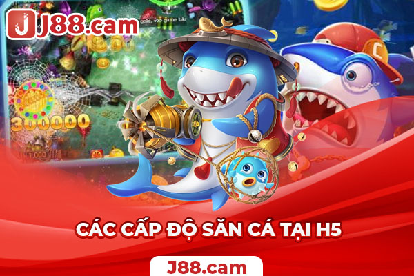 Các mức độ, phòng chơi bắn cá phổ biến tại cổng game 