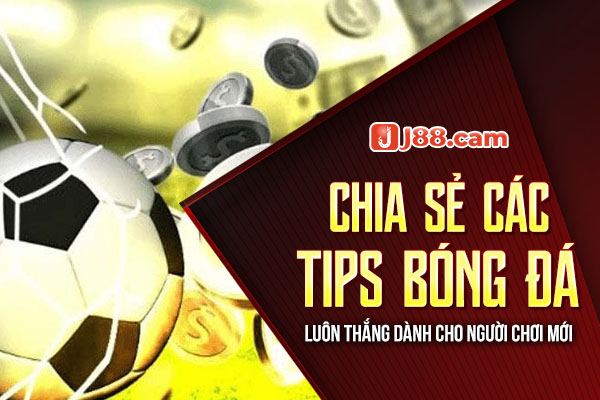 Chia sẻ các Tips bóng đá luôn thắng dành cho người chơi mới